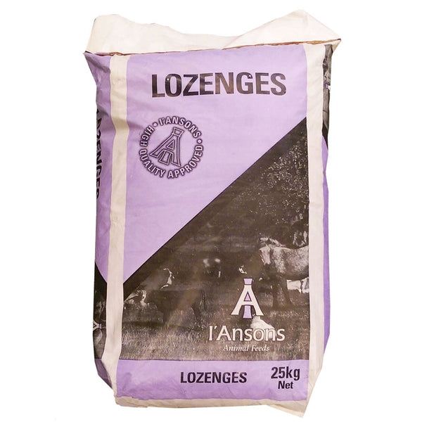 I'Ansons Linseed Lozenges 25Kg