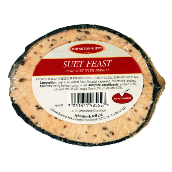 Johnston & Jeff Suet Feast With Berries Filled Half Coconut