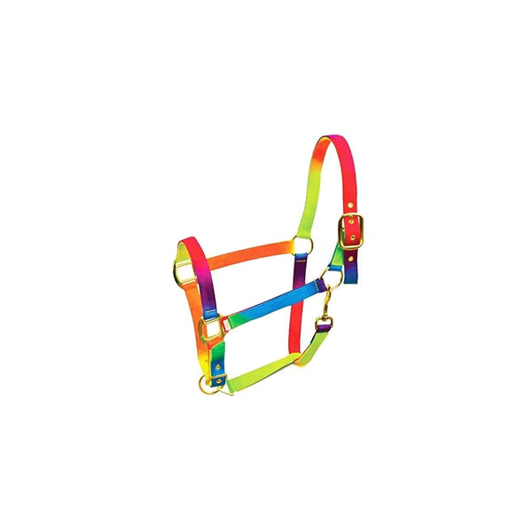 Roma Multicoloured Rainbow Headcollar