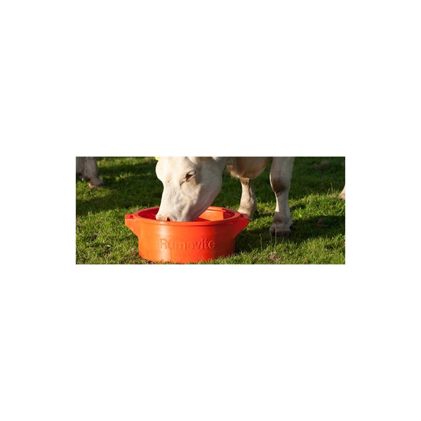 Rumenco Rumevite Block Container / Holder Orange  19"