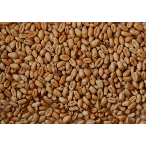 BJF Wheat 25Kg