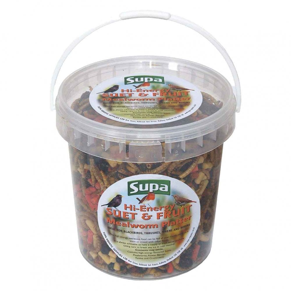 Supa High Energy Suet & Fruit Mealworm Platter