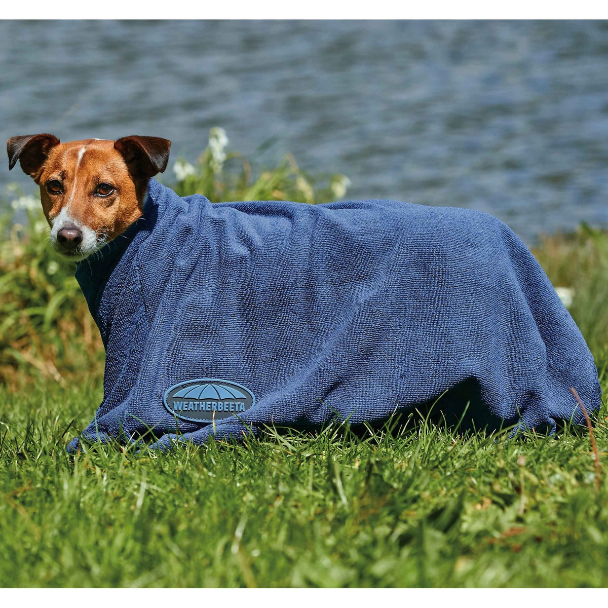 Weatherbeeta Dry Dog Bag Navy