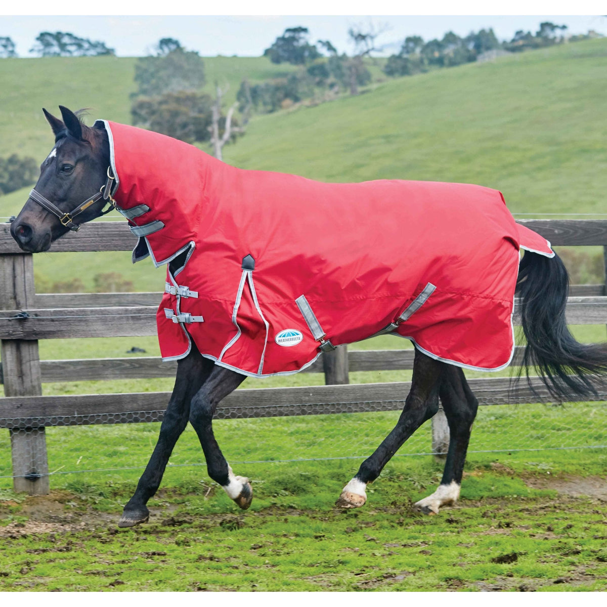 Weatherbeeta Comfitec Classic Combo Lite Turnout Red/Silver/Navy