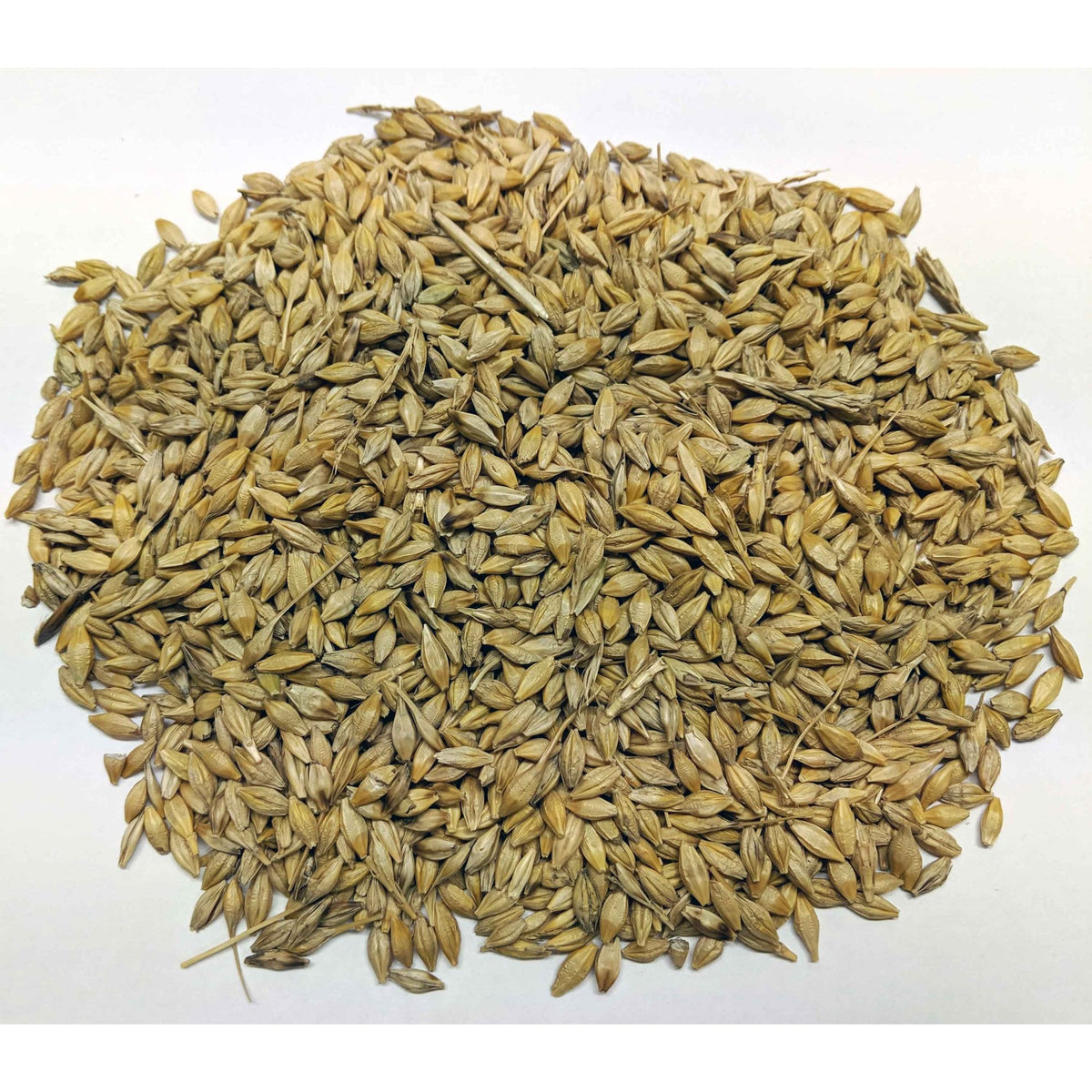 Burnhills Whole Barley 25Kg