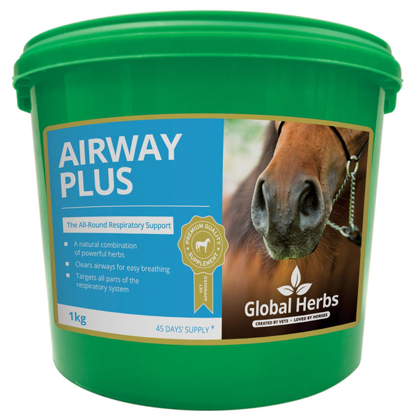 Global Herbs Airways Plus Powder 1Kg