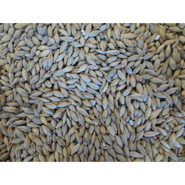 BJF Barley 25Kg  - Whole Barley