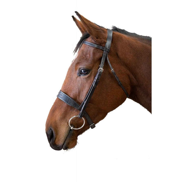 EcoRider Show Bridle Black