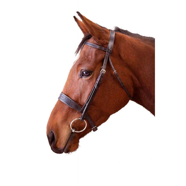 EcoRider Show Bridle Brown
