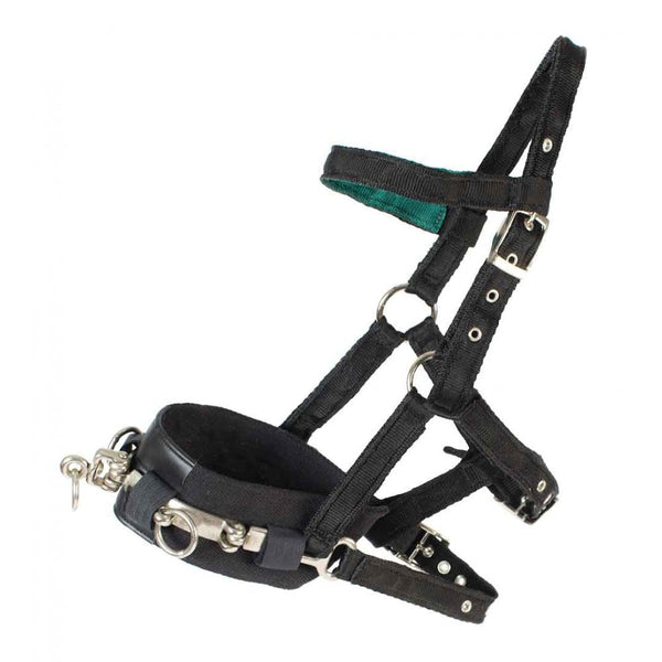 Cameo Lunge Cavesson Black Cob