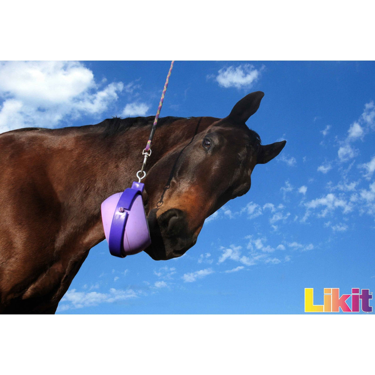 Likit Boredom Buster - Horse Lick Holder Toy