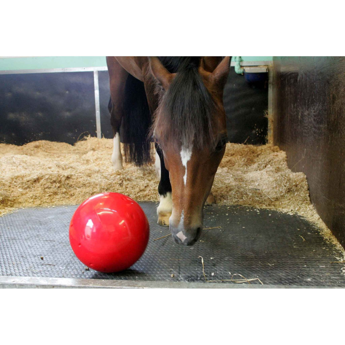 Likit Snack-A-Ball Horse Treat Toy