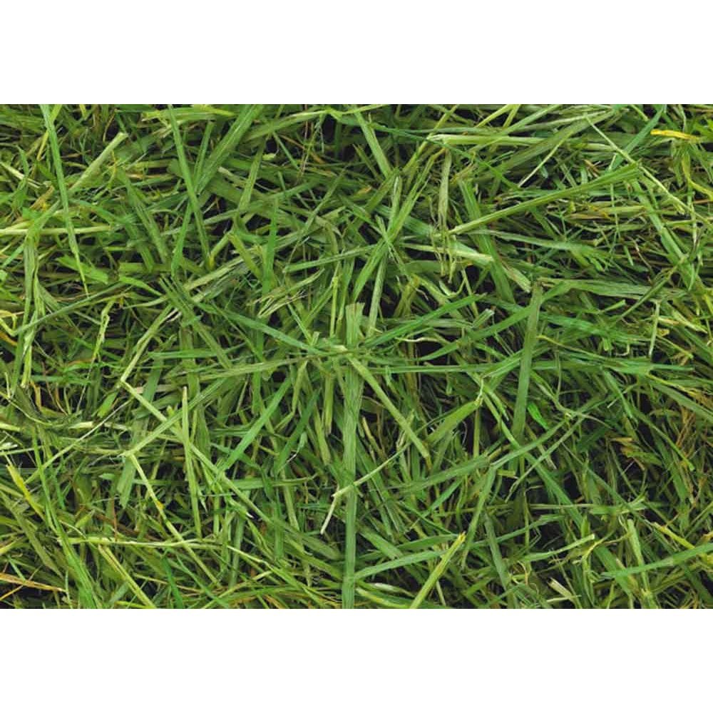 Friendship Estates ReadiGrass 15Kg Bale