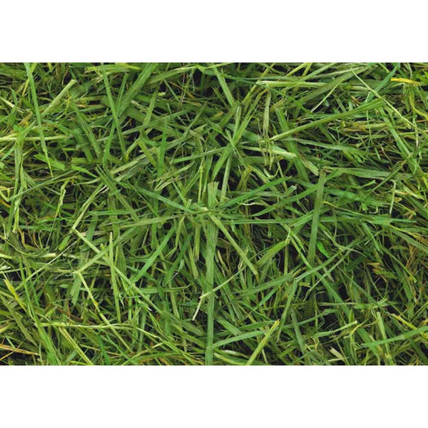 Friendship Estates ReadiGrass 15Kg Bale