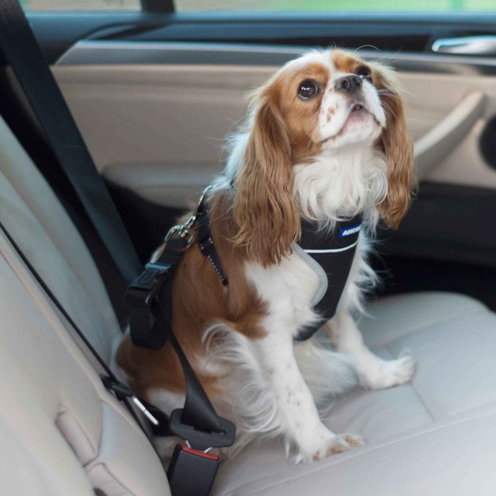 Ancol Dog Travel & Exercise Harness - Car Harnes
