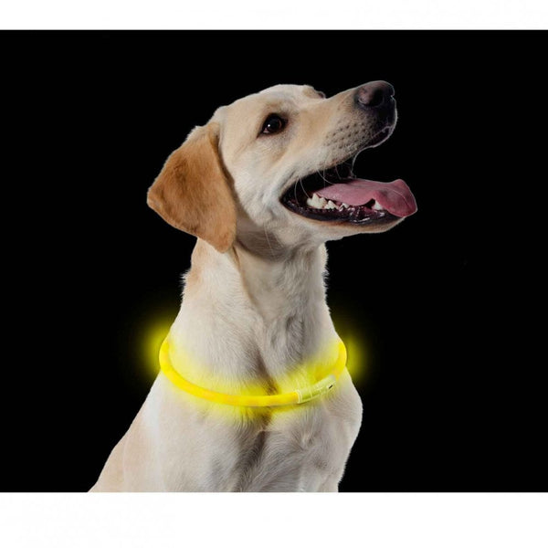 Ancol USB Halo Flashing Dog Neck Band Yellow