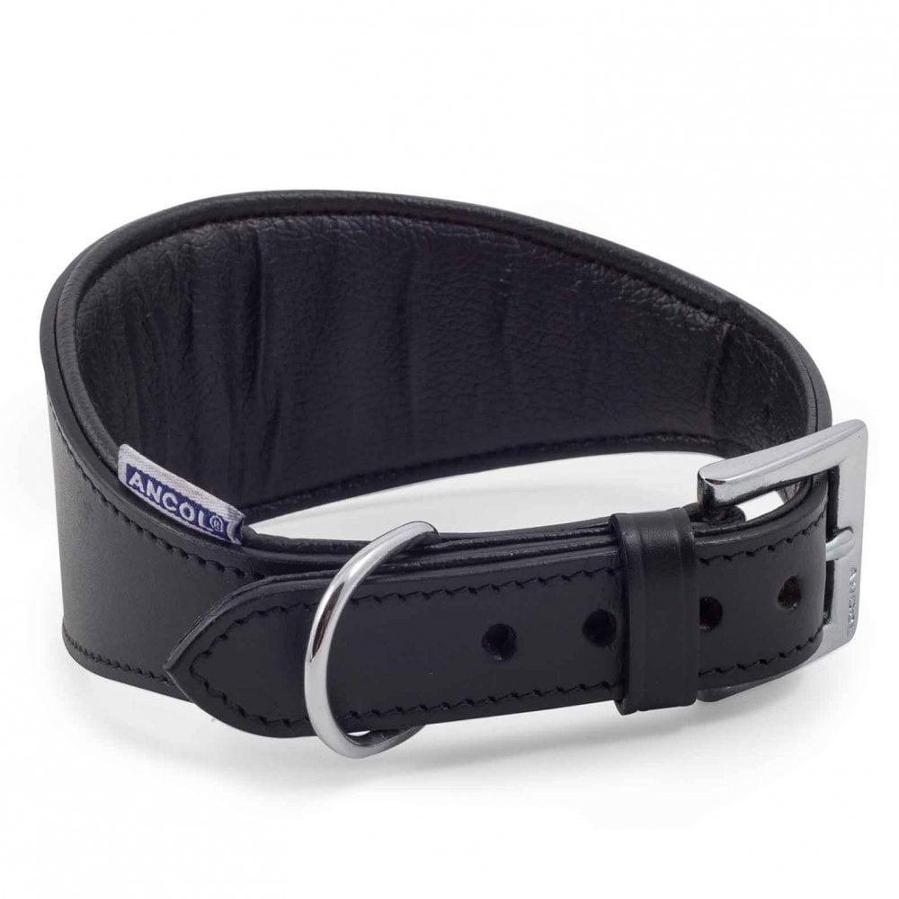 Ancol Whippet & Greyhound PADDED Collar Black
