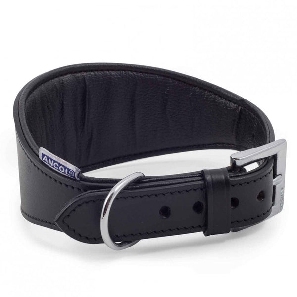 Ancol Whippet & Greyhound PADDED Collar Black