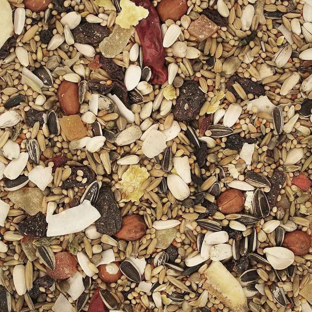 Johnston & Jeff Premium FRUITY PARAKEET Mix