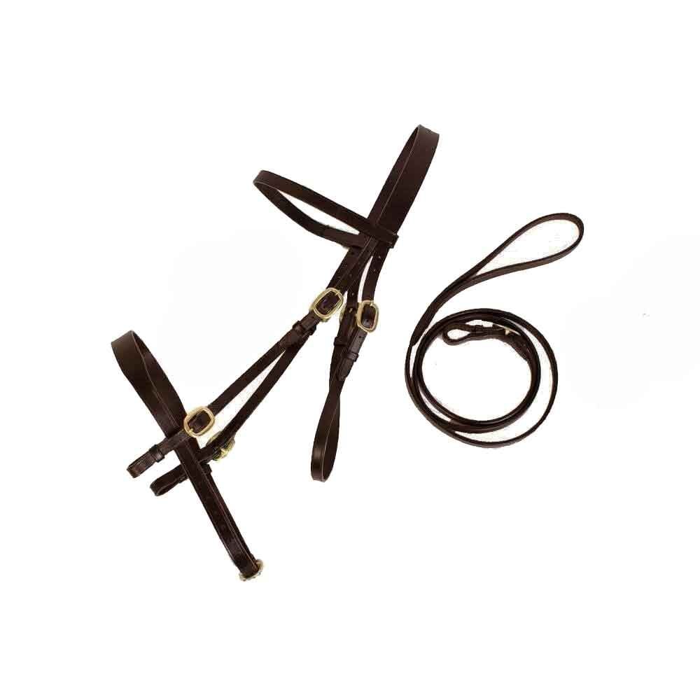 Cameo In Hand Bridle With Lead Brown