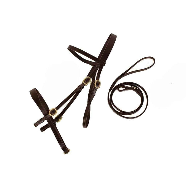 Cameo In Hand Bridle With Lead Brown
