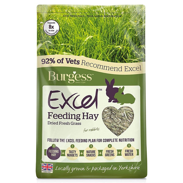 Burgess Excel Feeding Hay 1Kg