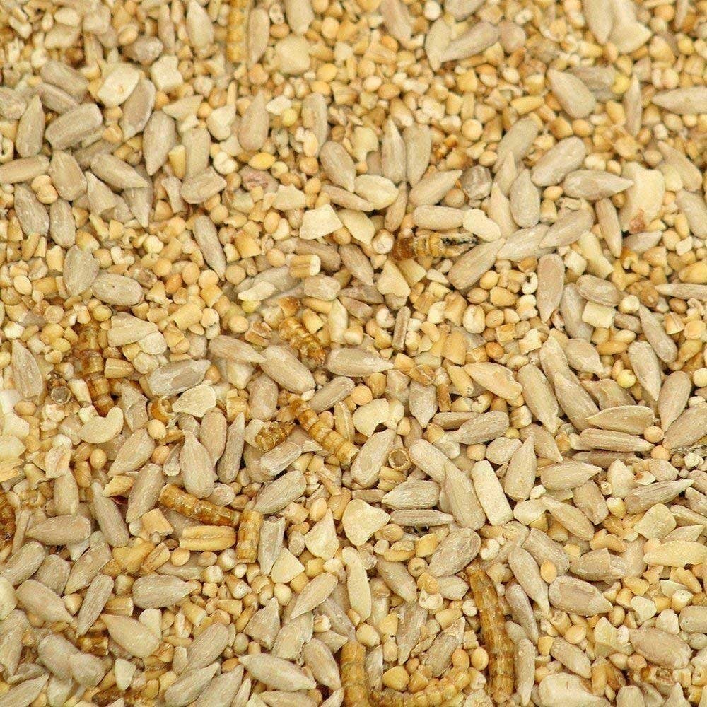 Johnston & Jeff Robin & Songbird Mix (With Mealworms) 1Kg