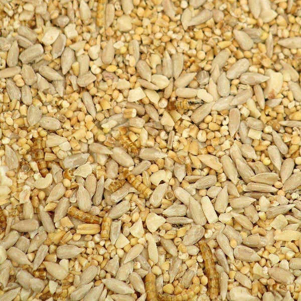 Johnston & Jeff Robin & Songbird Mix (With Mealworms) 1Kg