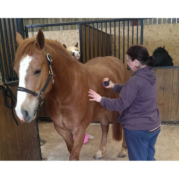 Solo Groom SoloBrush