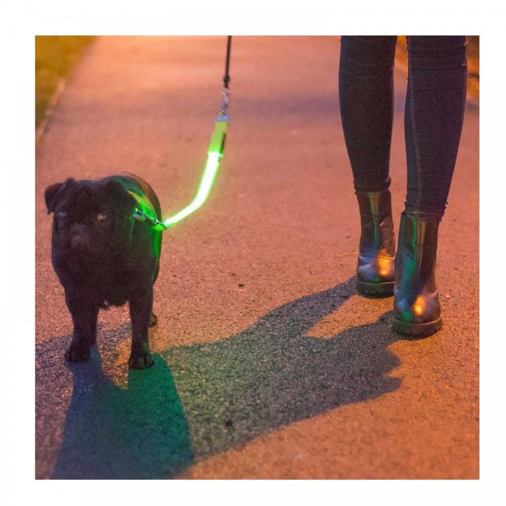 Ancol Hi Vis USB Flashing Lead Extension
