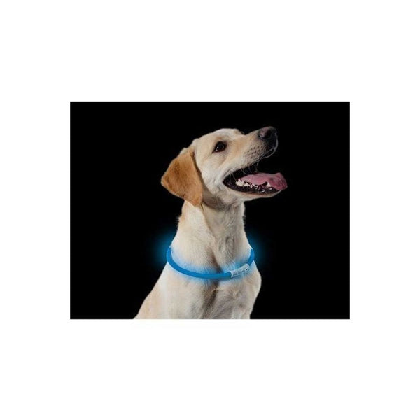 Ancol USB Halo Flashing Dog Neck Band Blue