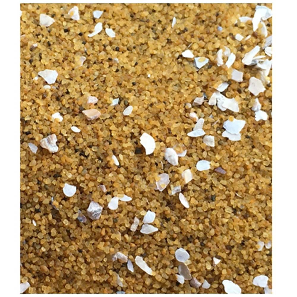 Ostrea Bird Sand 20Kg (With Oystershell)