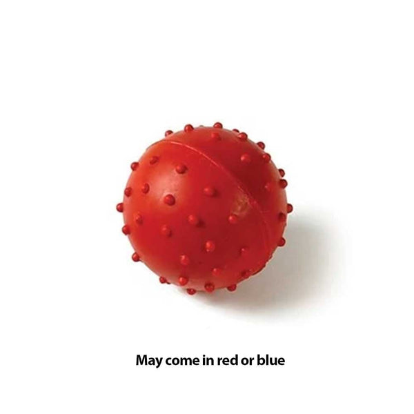 Classic Pimple Rubber Dog Ball With Bell