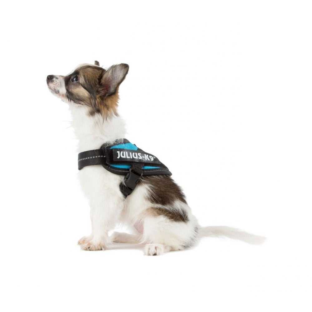 Julius-K9 IDC Powerharness Aquamarine