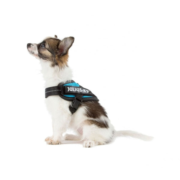 Julius-K9 IDC Powerharness Aquamarine