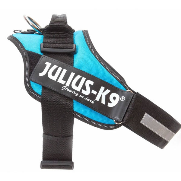 Julius-K9 IDC Powerharness Aquamarine