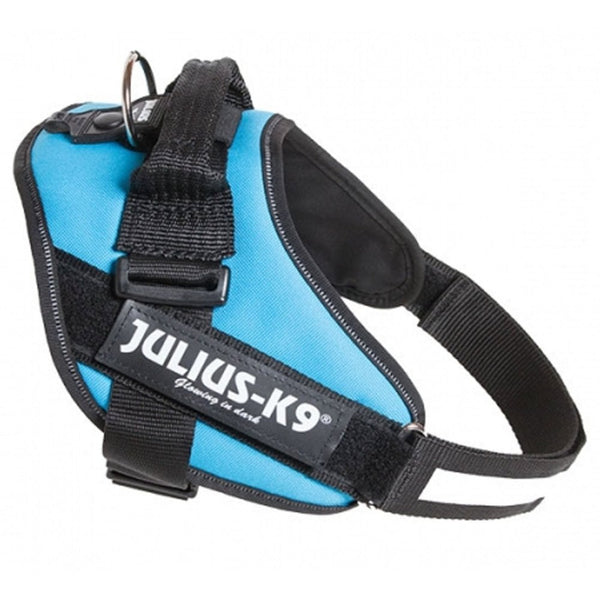 Julius-K9 IDC Powerharness Aquamarine