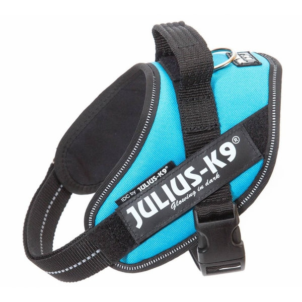 Julius-K9 IDC Powerharness Aquamarine