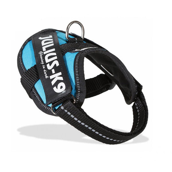 Julius-K9 IDC Powerharness Aquamarine