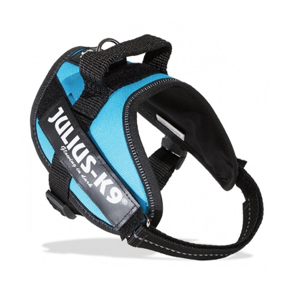 Julius-K9 IDC Powerharness Aquamarine