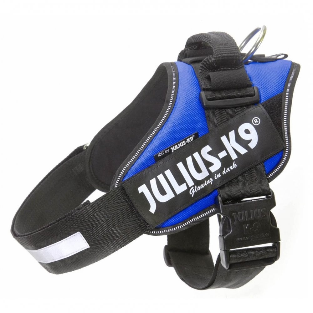 Julius-K9 IDC Powerharness Blue