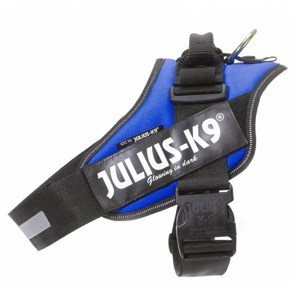 Julius-K9 IDC Powerharness Blue