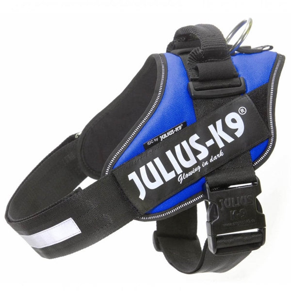 Julius-K9 IDC Powerharness Blue