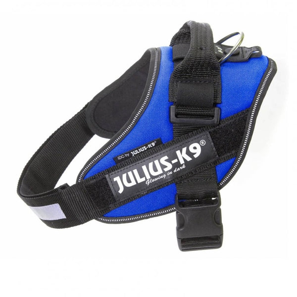 Julius-K9 IDC Powerharness Blue