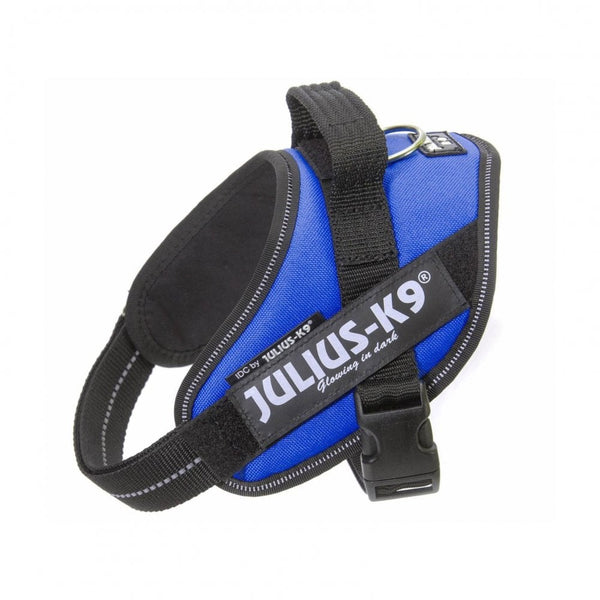 Julius-K9 IDC Powerharness Blue