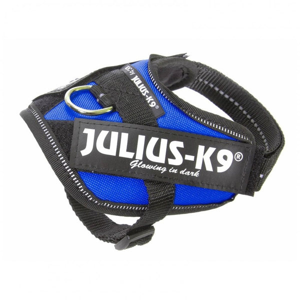 Julius-K9 IDC Powerharness Blue