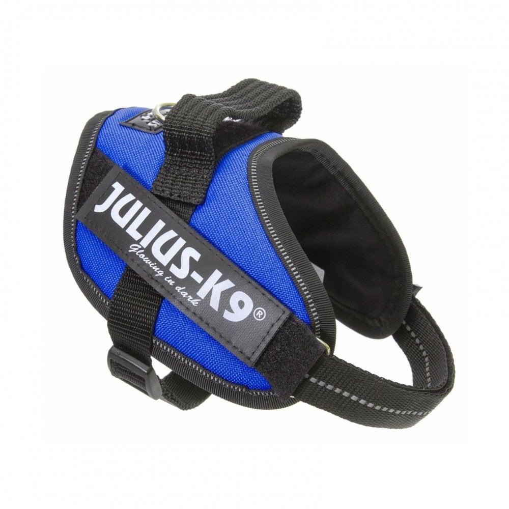 Julius-K9 IDC Powerharness Blue