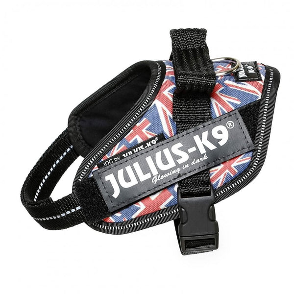 Julius-K9 IDC Powerharness British Flag