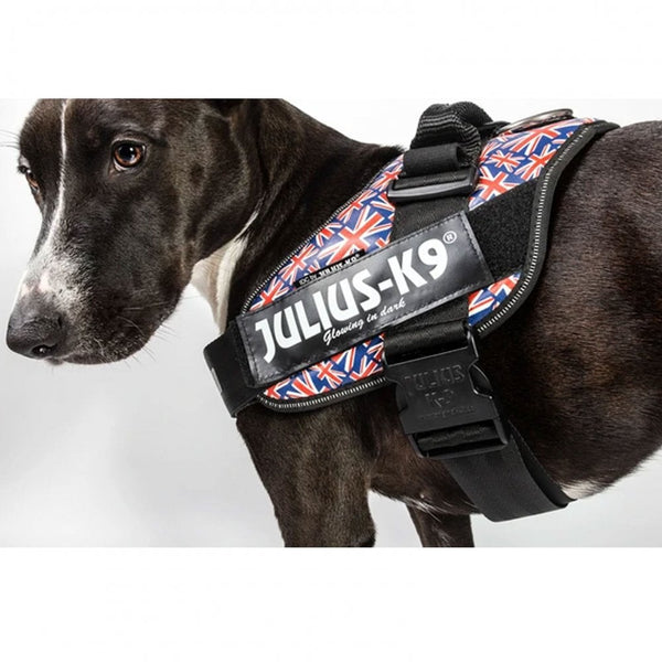 Julius-K9 IDC Powerharness British Flag