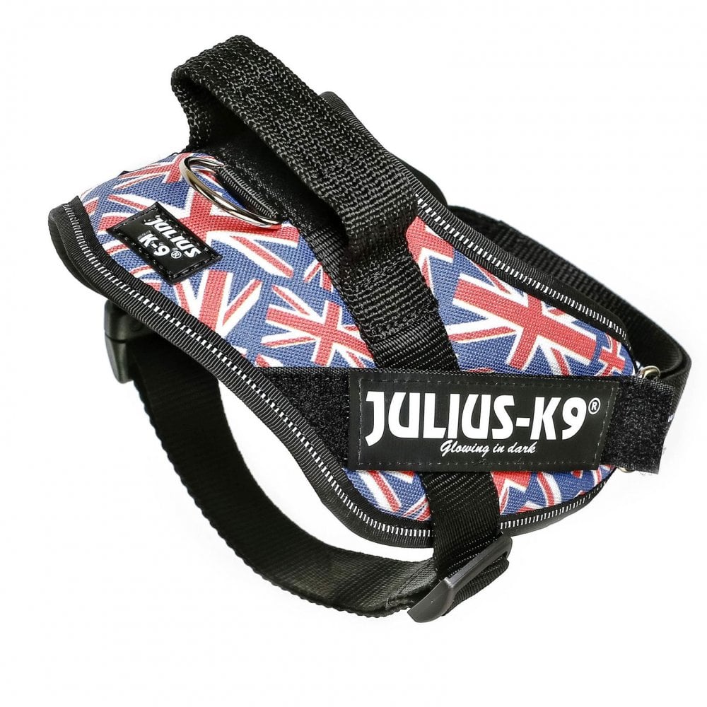 Julius-K9 IDC Powerharness British Flag